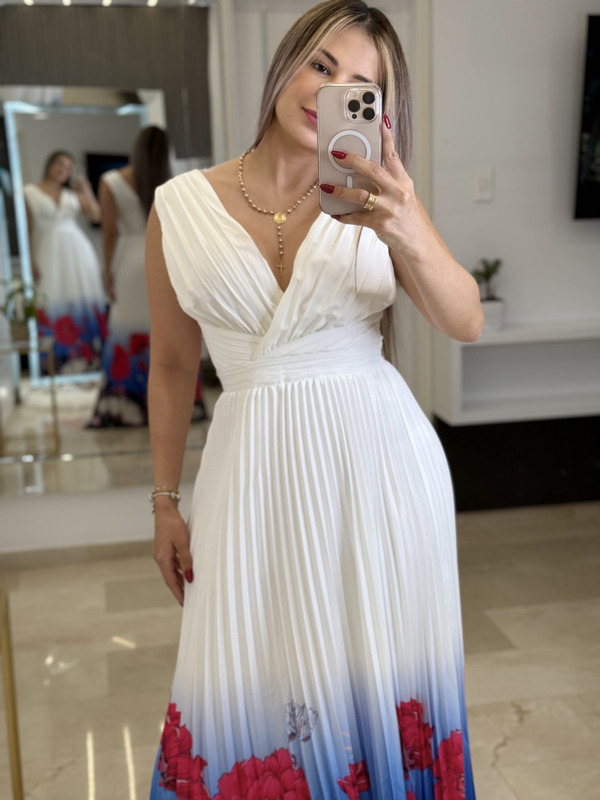 Descripción de la imagen 1